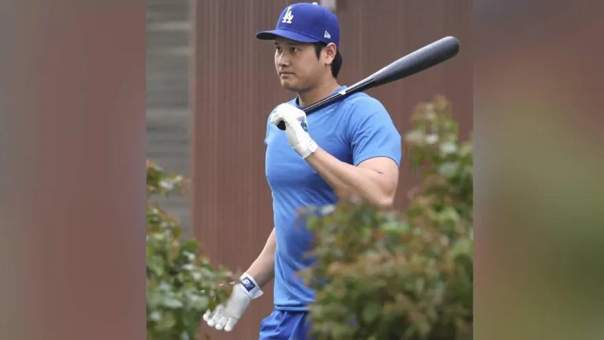 無懼10度低溫！大谷照穿短袖短褲練打　球迷：全身肌肉不冷