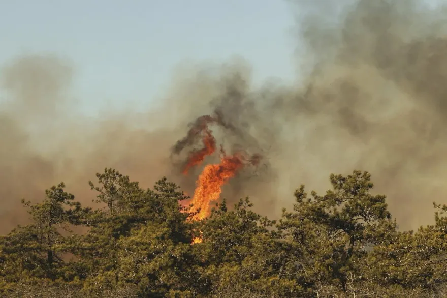 紐約長島爆發野火！部分地區進入緊急狀態　30消防隊灌救中