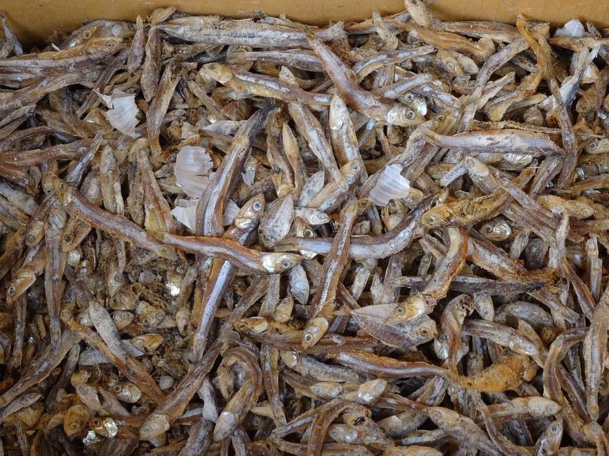 以為補鈣很健康？醫警告：小魚乾、吻仔魚膽固醇高需節制