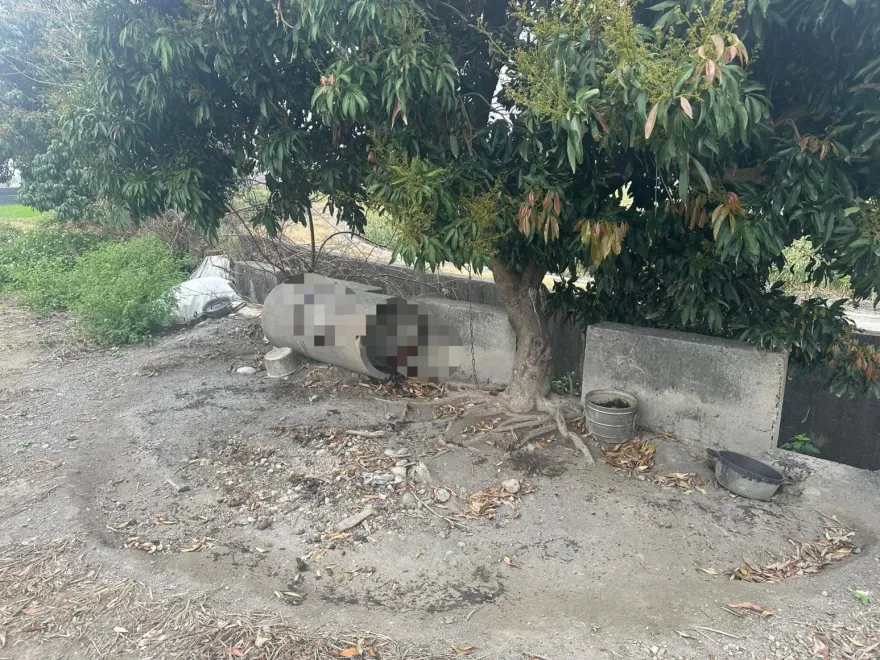 雲林田犬護「蒜頭」慘遭小偷毒手　警將成立「護蒜專案」