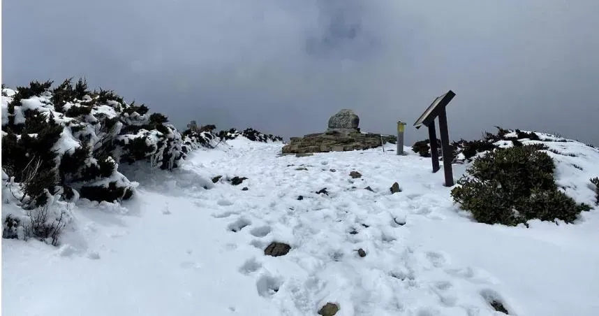 美呆了！冷氣團來勢洶洶　雪霸山區一片雪白