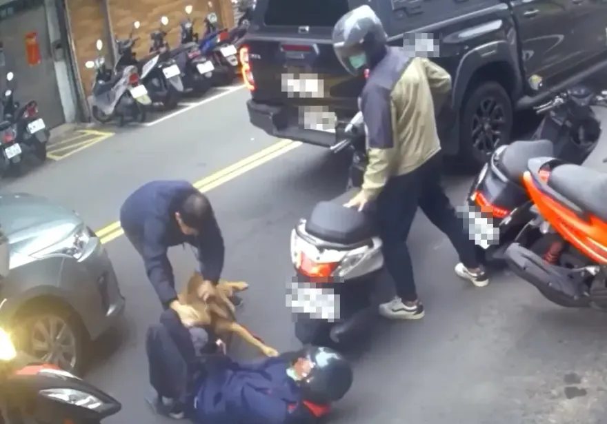 縱放咬人惡犬？北市比特犬飼主曾求別關：沒牠我活不了