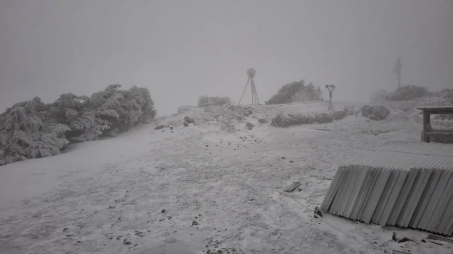 影/寒流發威！玉山下雪「冰凍-2.6度」　銀白雪景如仙境曝光