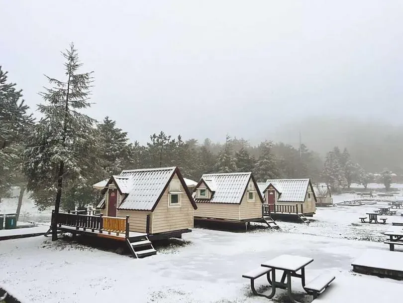 賞雪了！10幾年來首次超美「3月雪」　太平山成銀白世界