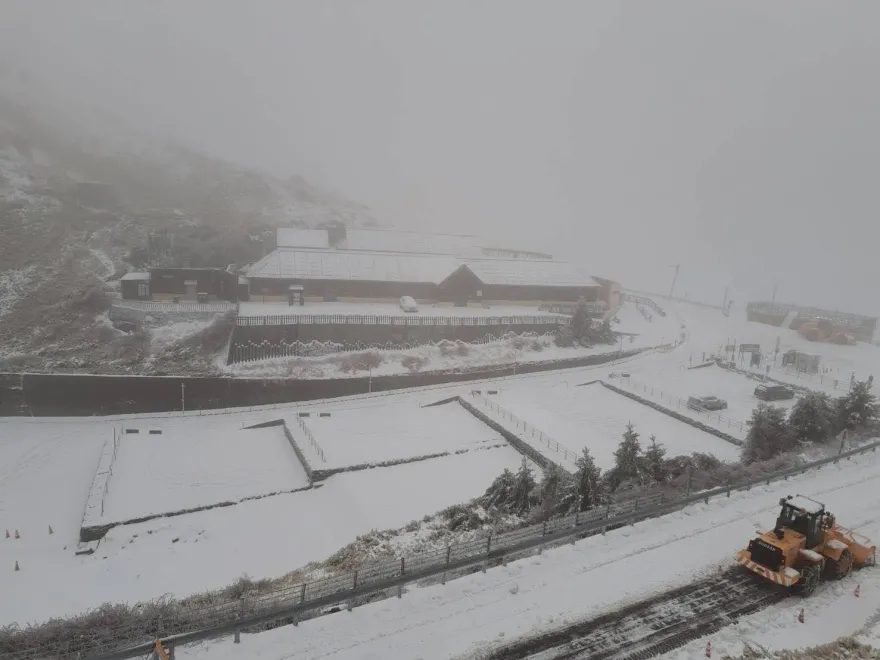 合歡山再下3月雪！積雪「11.5公分」　絕美銀白畫面曝光