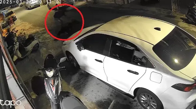 台中兇殺畫面流出！46歲醉男狂叫囂　遭猛刺「臥血泊亡」