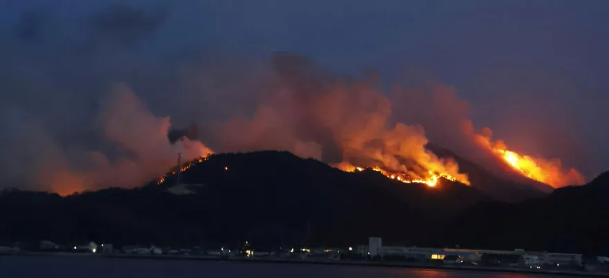 影/遊日本注意！岡山、愛媛山火肆虐　1.6萬戶一度停電