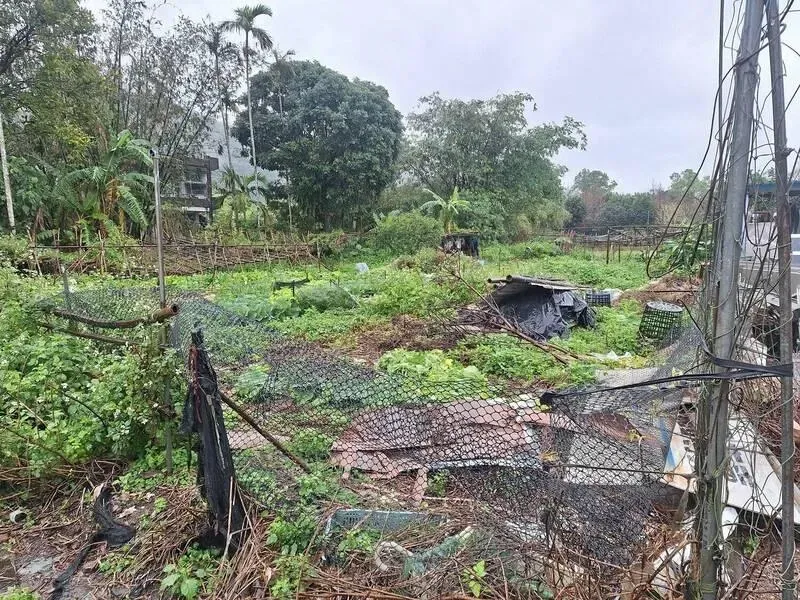 地主欠稅、罰鍰691筆！　宜蘭礁溪千萬菜園4/1將法拍