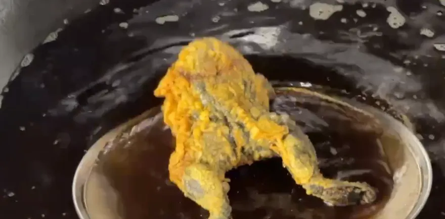 影/黑暗料理界新秀！草屯特色「炸青蛙」　饕客竟當雞排啃
