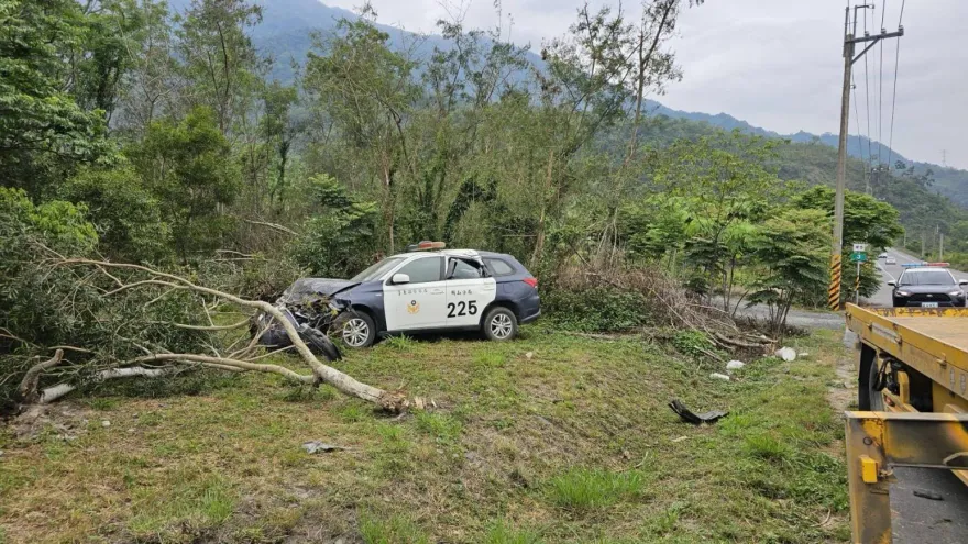 疑閃野狗失控！關山警駕車出勤側翻衝山坡　送醫幸無礙