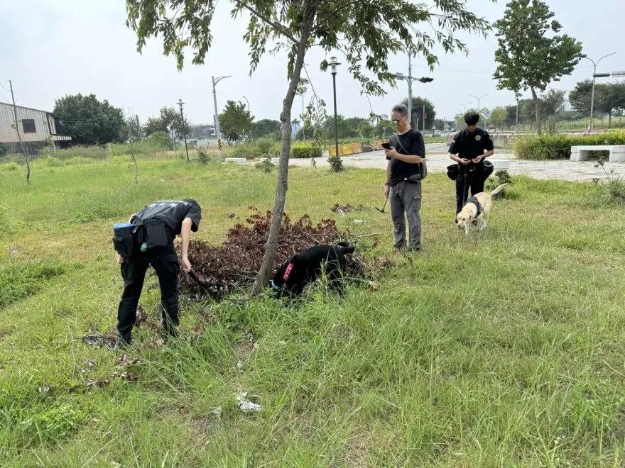 影/法網恢恢！台中毒販公園「埋大麻」交易　靈敏警犬找出2公斤毒包