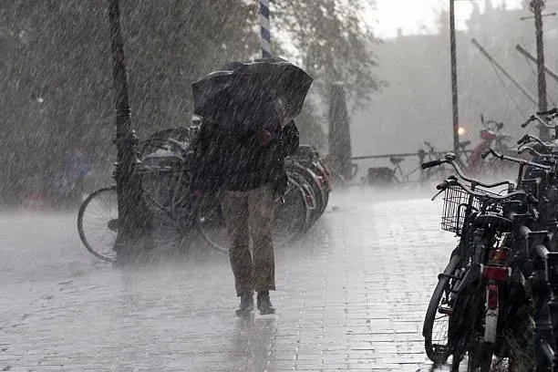 桃市府因應豪雨特報　災害應變中心三級開設