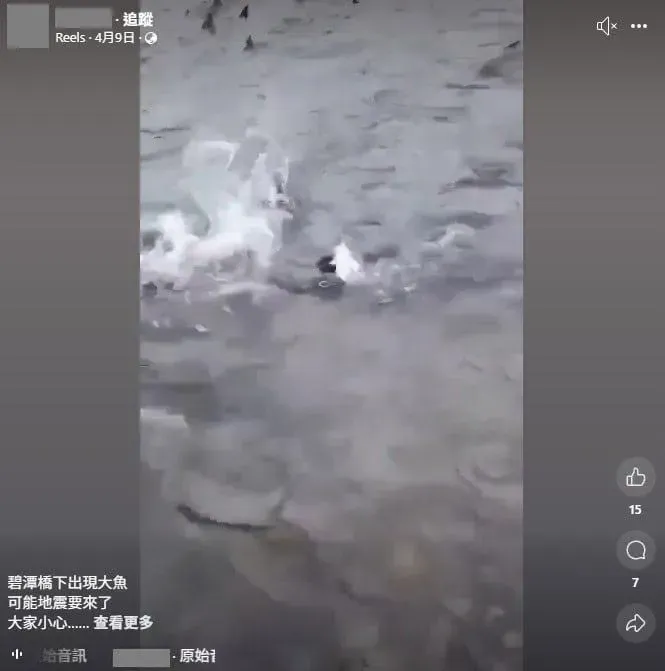 碧潭魚群現蹤…他預告恐為地震前兆　查核中心：錯誤訊息