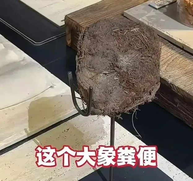陸「生態雨林風」餐廳惹議　饕客花1.7萬嘗「象糞甜點」