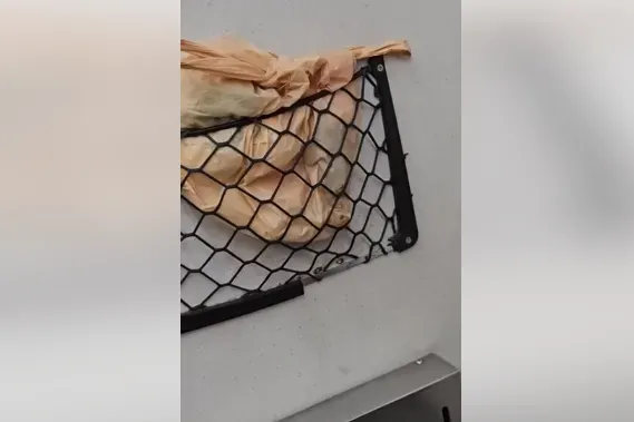 影/台鐵竟被「放鳥」！塑膠袋內狂竄動　疑遭乘客棄養