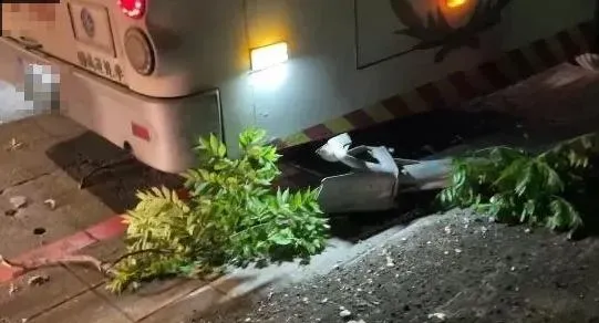 士林夜間驚魂！國光客運撞人行道路樹　乘客驚慌急報警