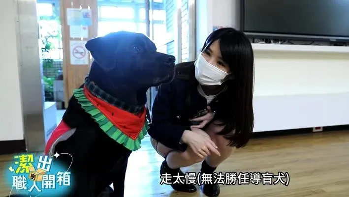 潔出職人開箱/陪你走到最後！安寧病房「治療犬OBA」退休