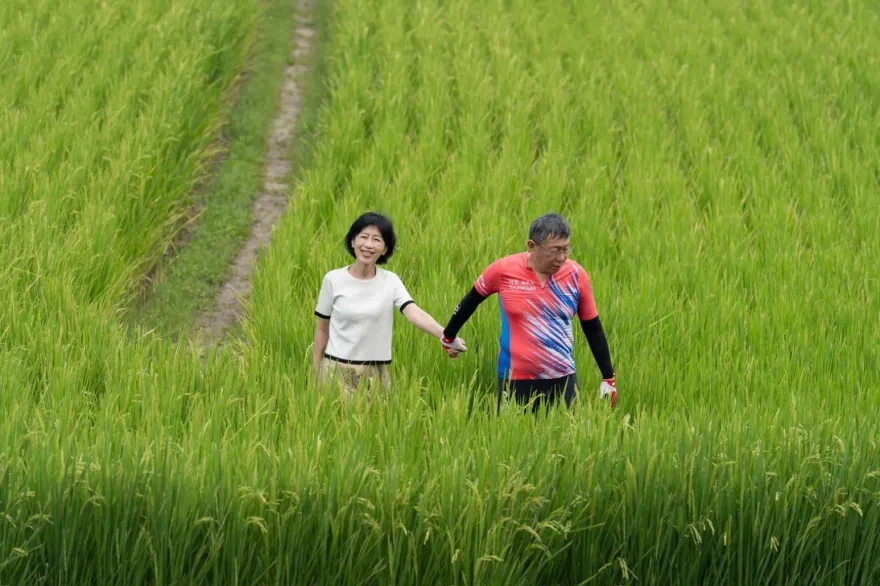 憶賴清德曾請柯P吃飯暢談市政　陳佩琪：司法天秤為何如此兇殘？