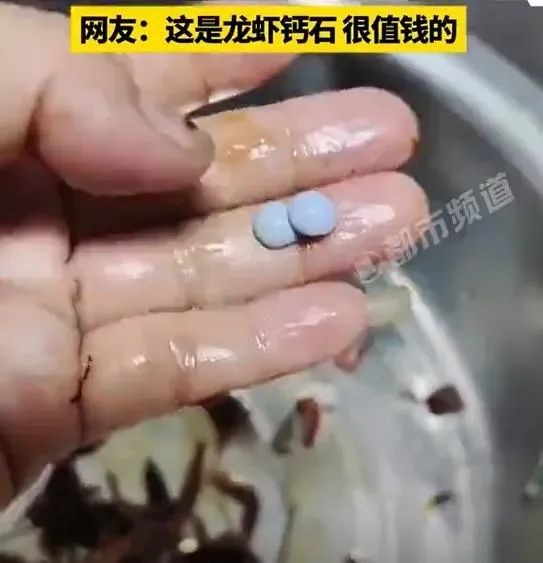 陸女洗小龍蝦竟意外挖出「珍珠」？專家釋疑不建議食用