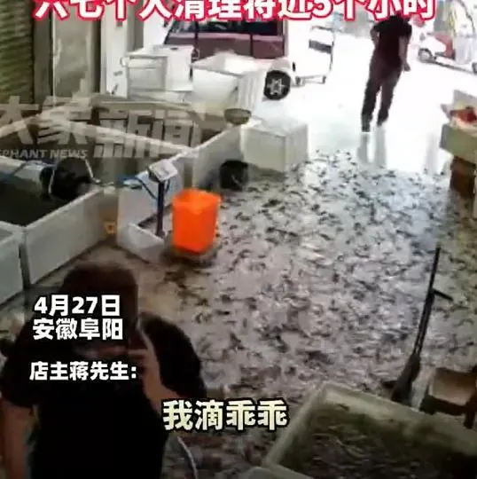 影/嚇！陸水產店水池爆裂　20萬條泥鰍「滿地爬」畫面曝