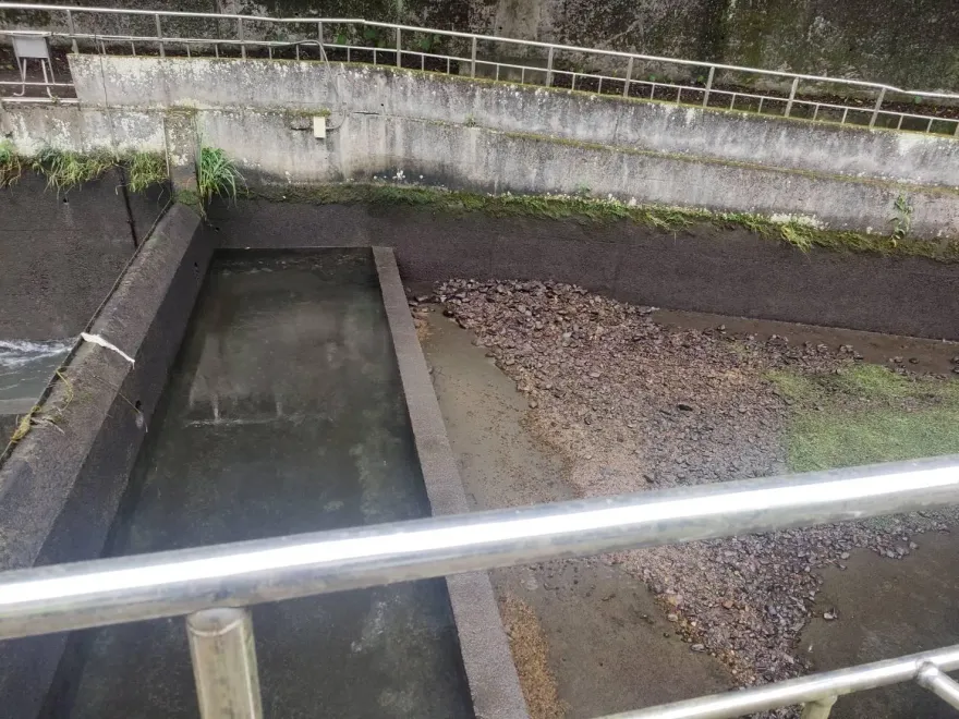 台中白毛山白冷圳取水口驚見「腫脹男浮屍」　身分確認中