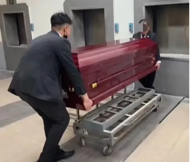 剴剴關鍵死因曝！法醫出庭：長期營養不良、低血容休克亡