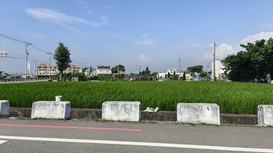 熱帶低壓影響！17縣市陸上強風特報　恐有8級陣風