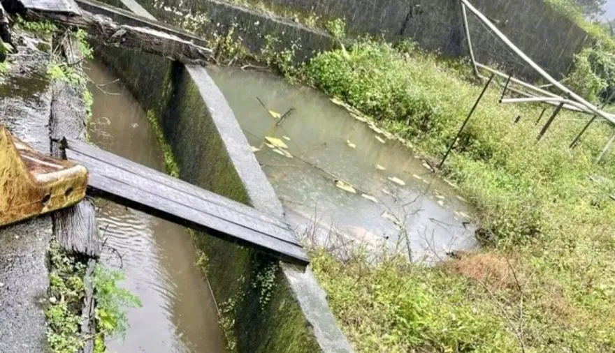 金山釣客陳屍排水溝　家屬懷疑「他殺」檢警查出真相
