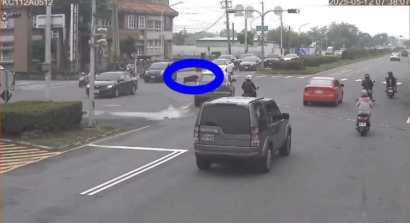 黑山豬闖高雄明宗國小操場　校方：未驚擾學生已離去