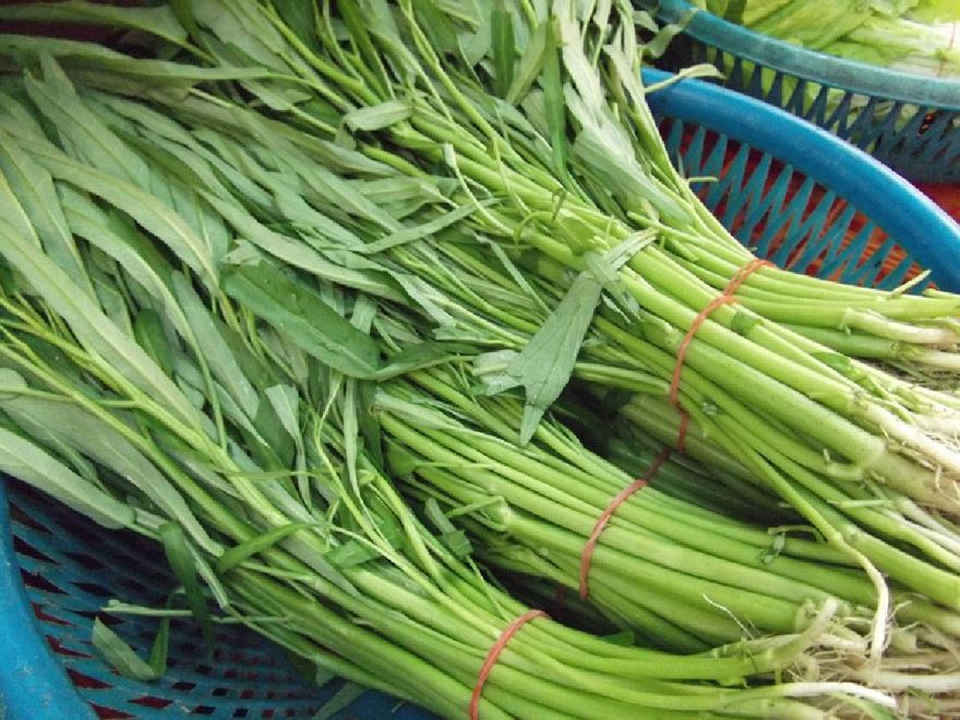 地瓜葉、小白菜缺貨！小吃店燙青菜剩空心菜　網揭主因