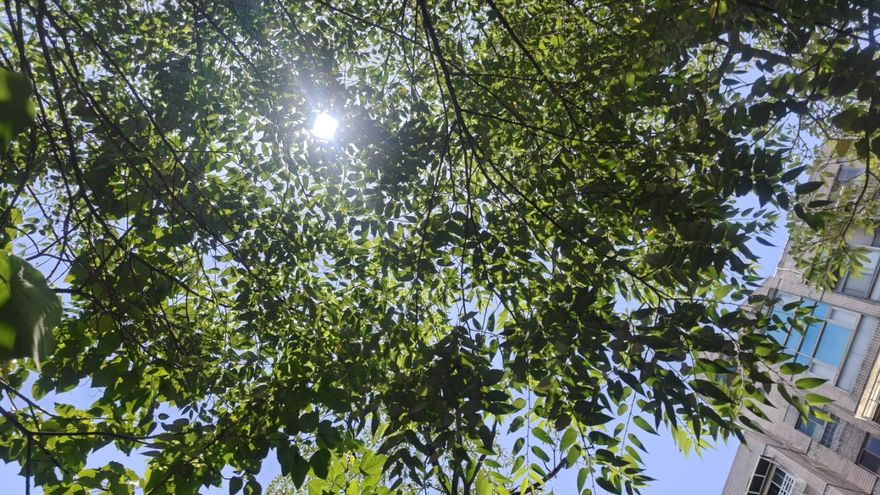 熱到融化！雲林縣亮高溫黃燈　中午前後恐36度以上