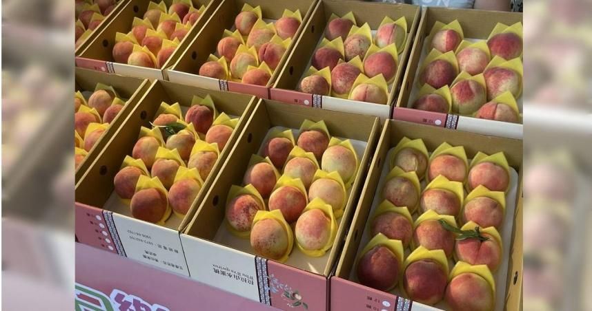 遊客拉拉山花1200元買到爛水蜜桃　農會：協調等價賠償