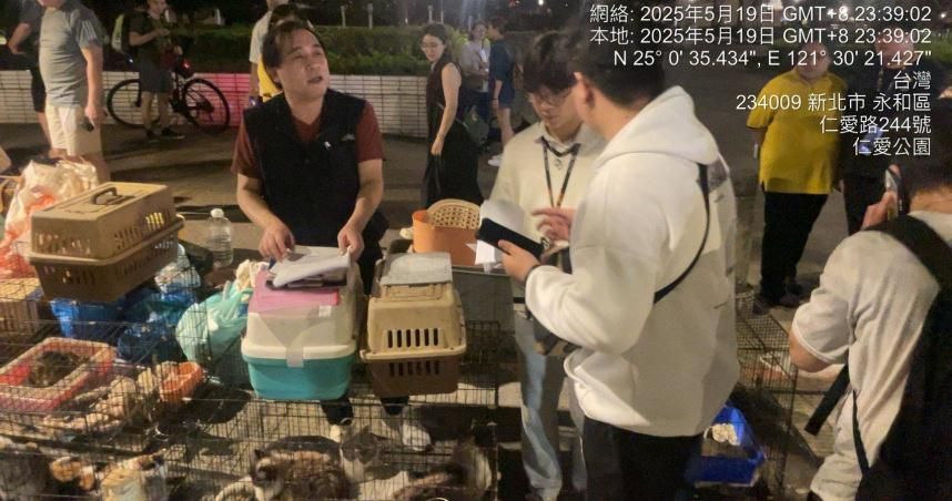 猴塞雷！港女離台「棄養23隻犬貓」　動保處開罰列黑名單