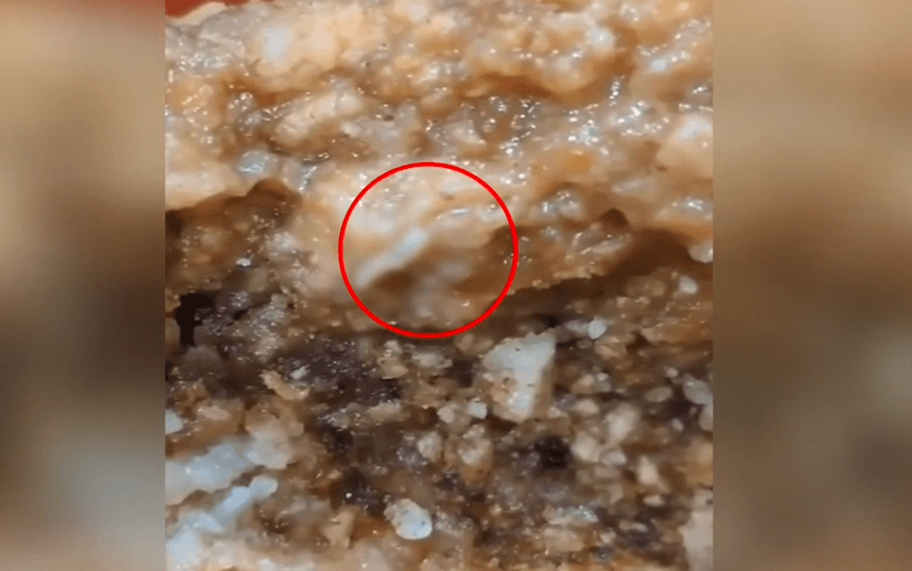 影/團膳驚見「活蛆狂蠕」從雞排爬出！日月光員工氣炸