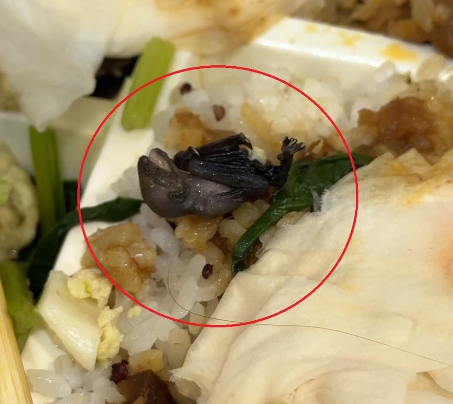 食安羅生門！他爆料「便當吃出蝙蝠」店家冷處理　業者反控：公然說謊！