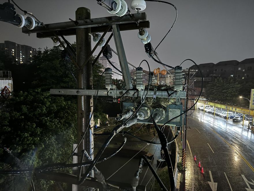 八德人注意！鳥類築巢釀4300戶停電　台電：已全面復電