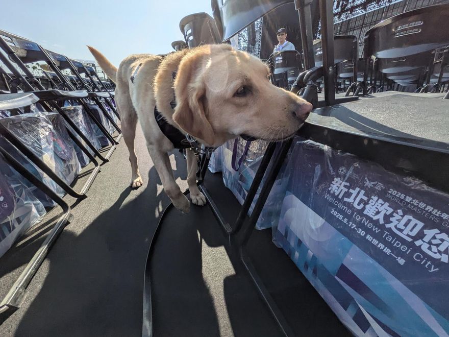 超萌！今天是警察節　「慰勞警犬」新北動保處送上大禮包