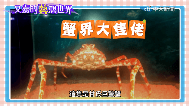 又嘉的藝想世界/潛入海科館探秘殺人蟹、軟飯魚、鯨骨秘境