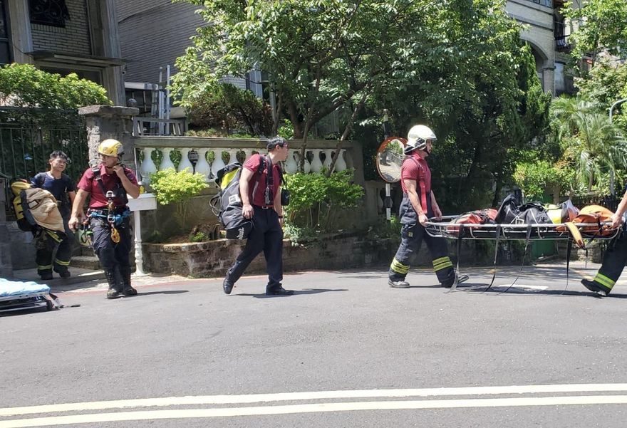 北市捕蜂工卡樹上不治　動保處：強化作業安全啟動勞檢