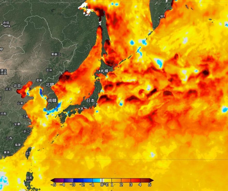 日本周邊「海溫發紅」如燒開水　鄭明典預警：會很熱！