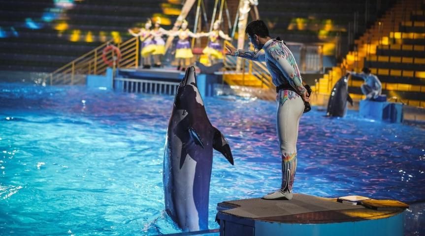 還缺人嗎？陸海洋公園徵「摸魚官」　每日工作2hr月領12萬
