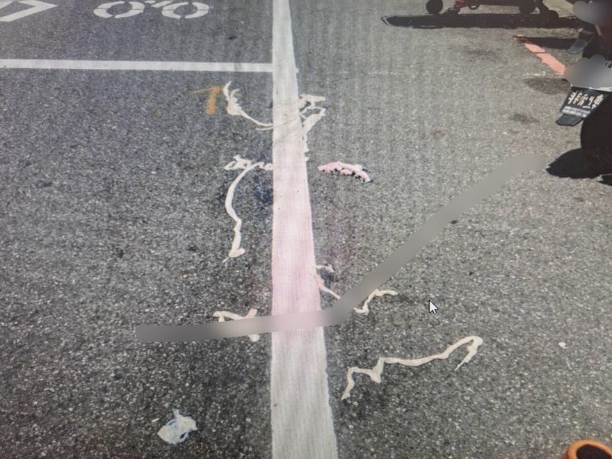 影/腸阱路！台南女騎士輾「豬大腸」摔車　警急尋「掉腸者」