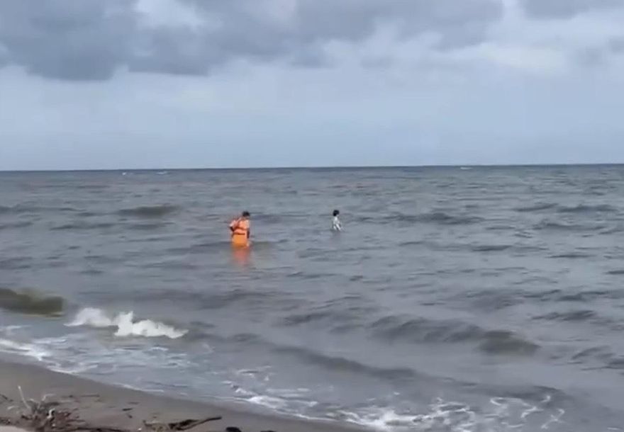 台中女緩慢步入海中！海巡火速救援成功阻憾事