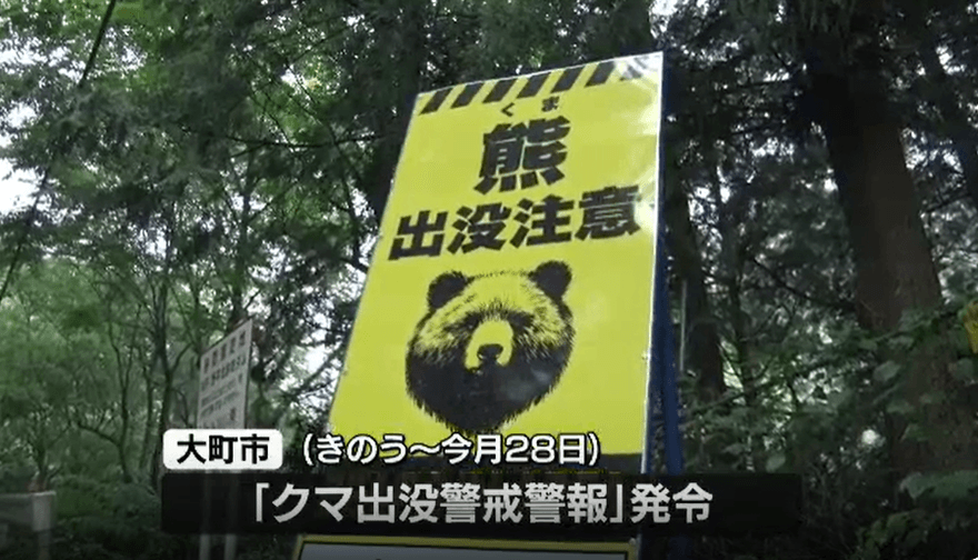 「熊出沒」頻傳！日男採竹筍遇襲1死1傷　當局發警戒警報