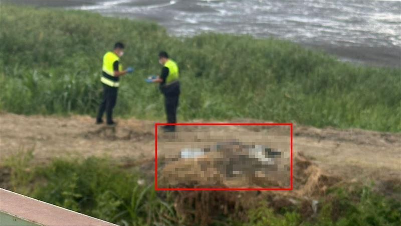 新北五股濕地驚見男屍！　移工抓螃蟹驚見遺體嚇壞報警