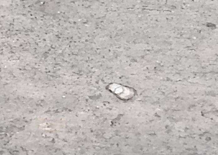 影/屏東鹽埔鄉驚見冰雹！四村莊受影響　民眾：好可怕