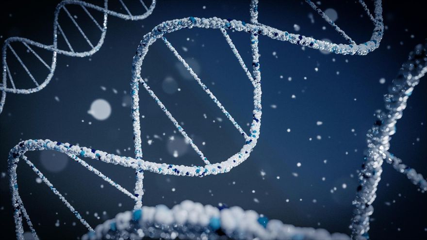 全球首創！英科學家砸4億「從零開始」創造人類DNA