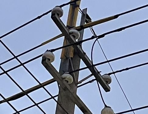 鳥觸及高壓線！台中三區521戶傍晚停電　台電：已復電