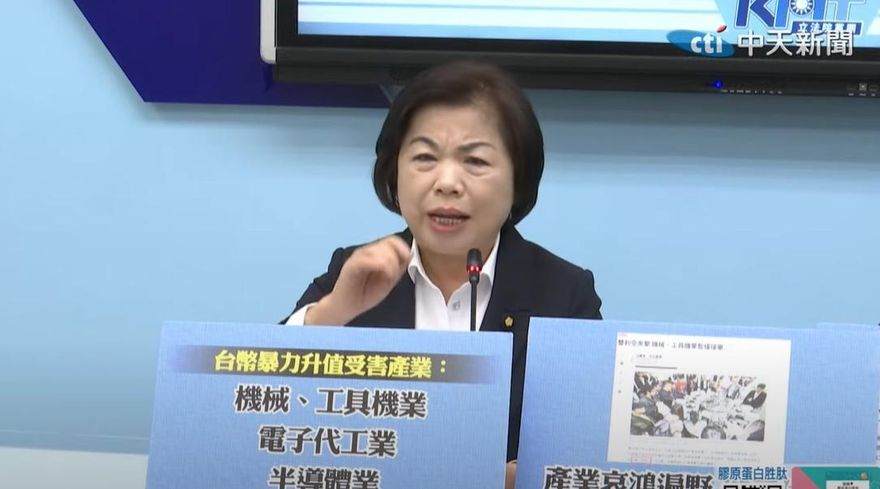 楊瓊瓔：台幣暴升束手無策　機械產業哀鴻遍野、血流成河