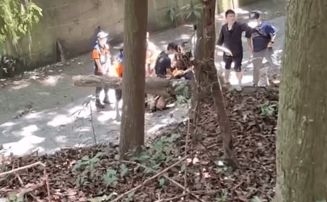 疑愛不到彩券妹就砍人！　兇嫌躲山區滅證結果三度燒燙傷